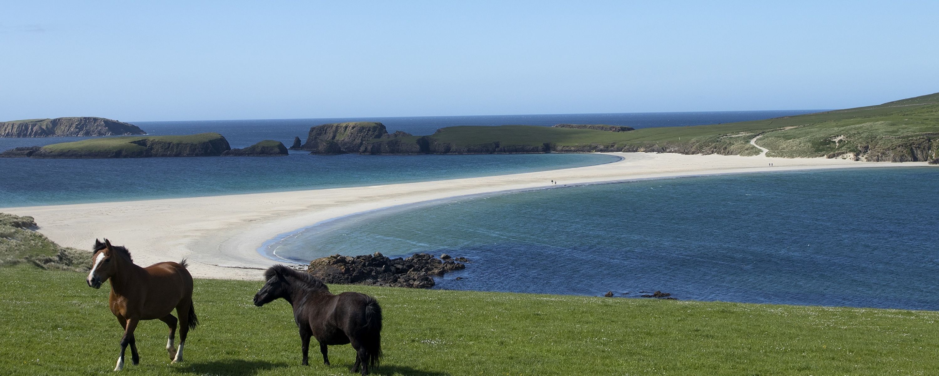 SHETLAND